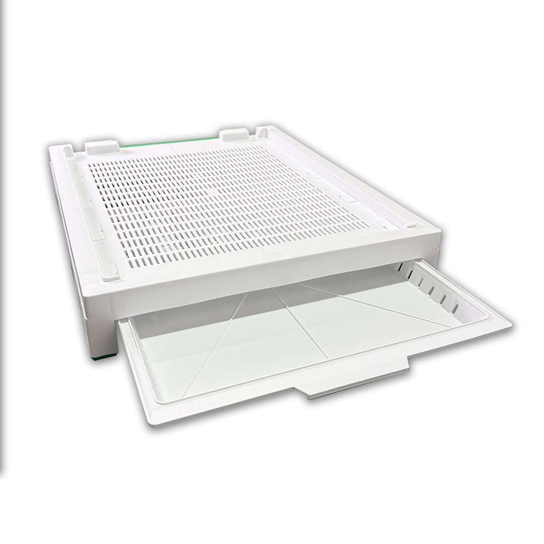 Maxima Plastic Bottom Board - 10 frame