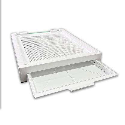 Maxima Plastic Bottom Board - 10 frame