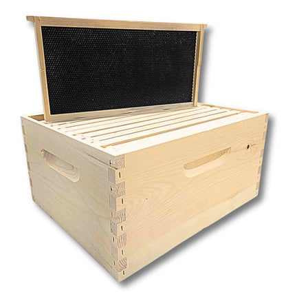 Assembled Deep Hive Body with Frames - 10 Frame