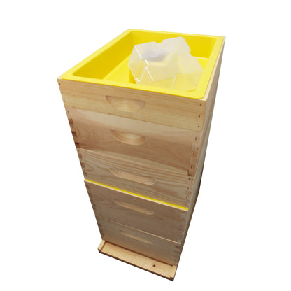 Beginner Kit - Deluxe