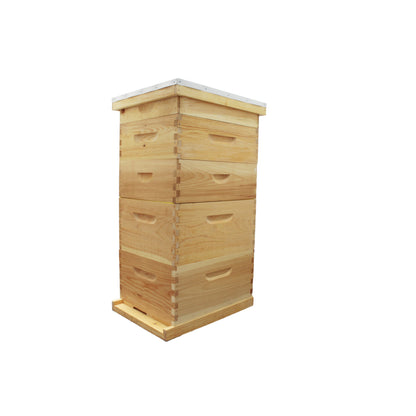 Beginner Kit - Deluxe