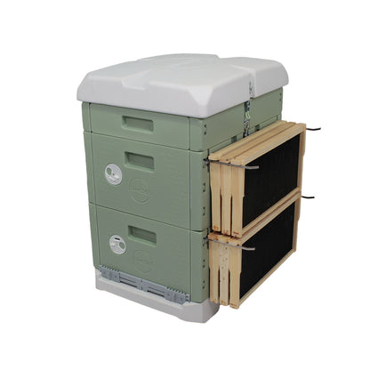 Hive365™ Premium Insulated Beehive - Double Deep Kit