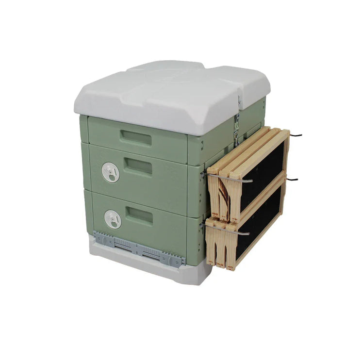 Hive365™ Premium Insulated Beehive - Double Medium Hive Kit – HillCo ...