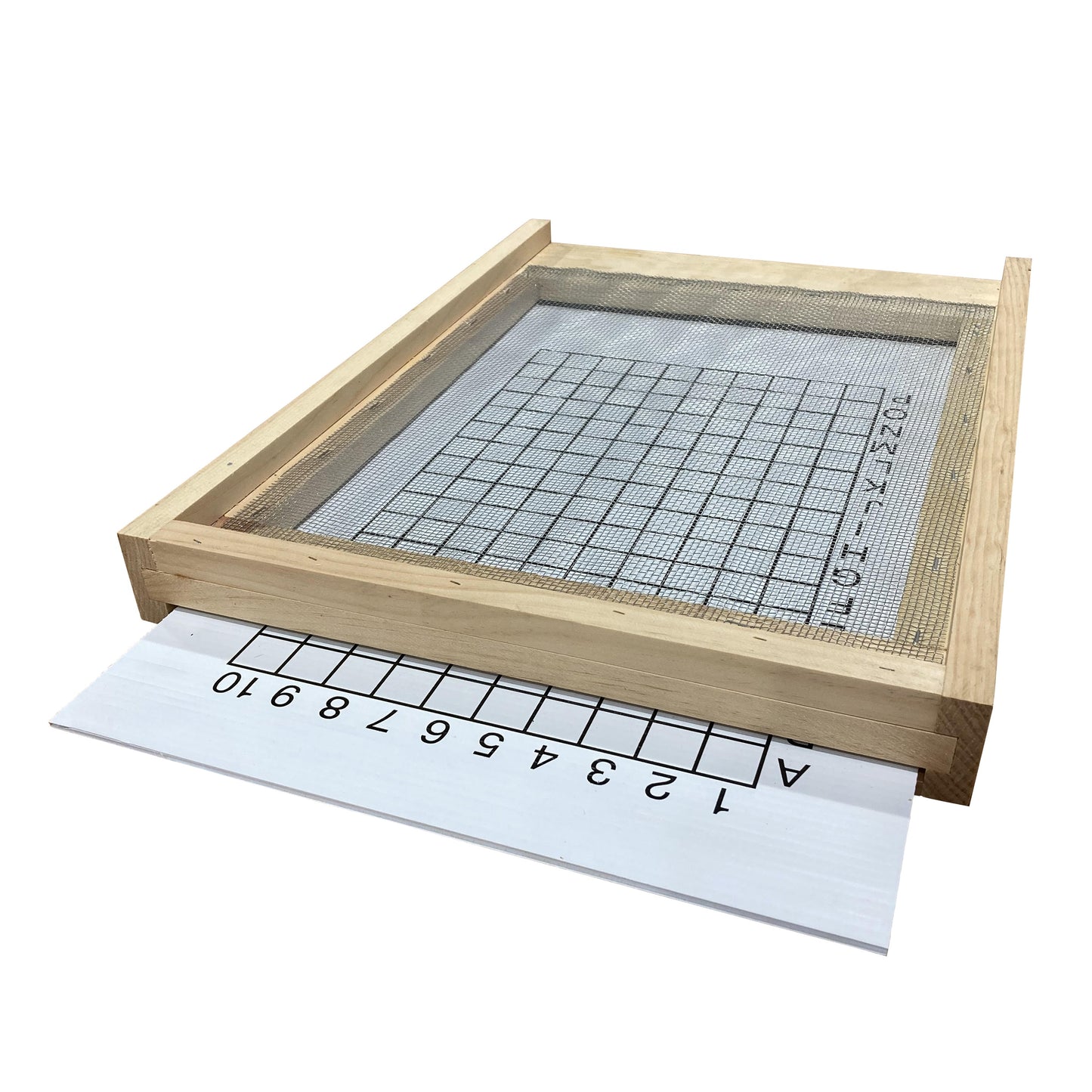 Screened Bottom Board - 10 Frame