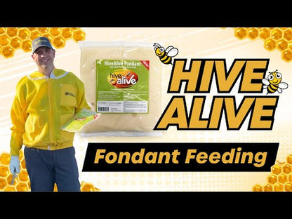 Hive Alive Fondant Patty - Winter Feed