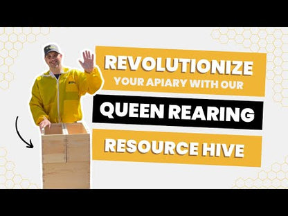 THE Queen Rearing Resource Hive