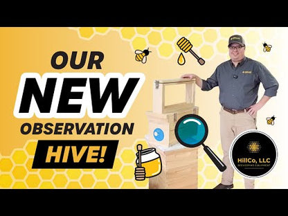 Observation Hive