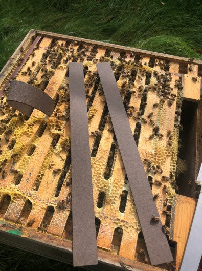 VarroxSan - Slow-Release Oxalic Acid Strips